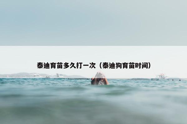 泰迪育苗多久打一次（泰迪狗育苗时间）