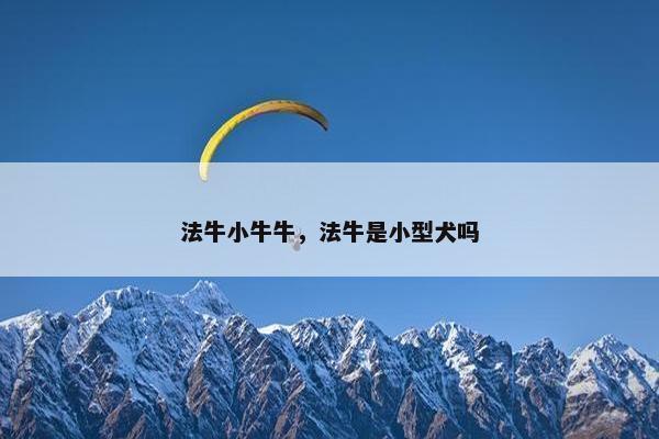 法牛小牛牛，法牛是小型犬吗