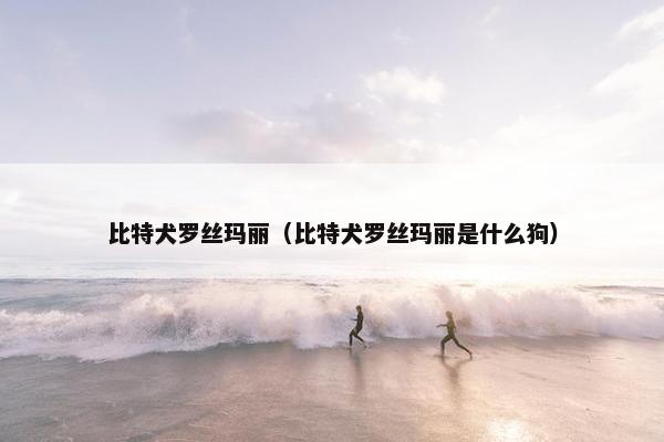 比特犬罗丝玛丽（比特犬罗丝玛丽是什么狗）