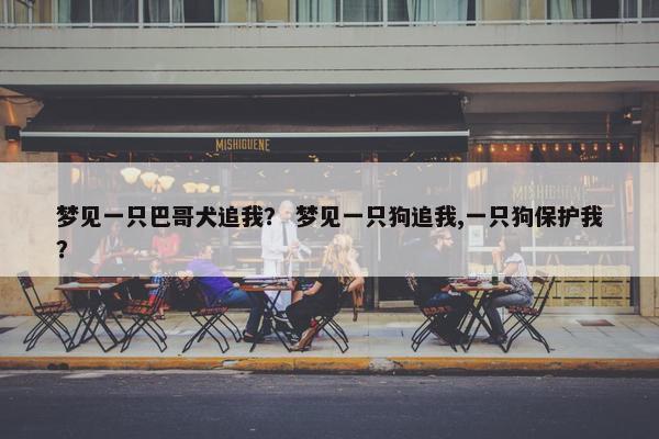 梦见一只巴哥犬追我？ 梦见一只狗追我,一只狗保护我？
