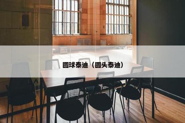 圆球泰迪（圆头泰迪）
