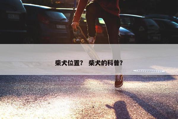 柴犬位置？ 柴犬的科普？