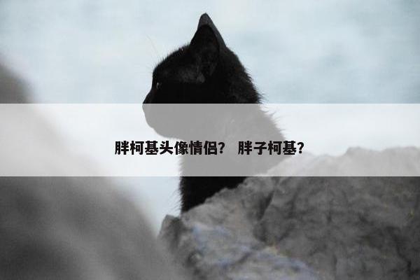 胖柯基头像情侣？ 胖子柯基？