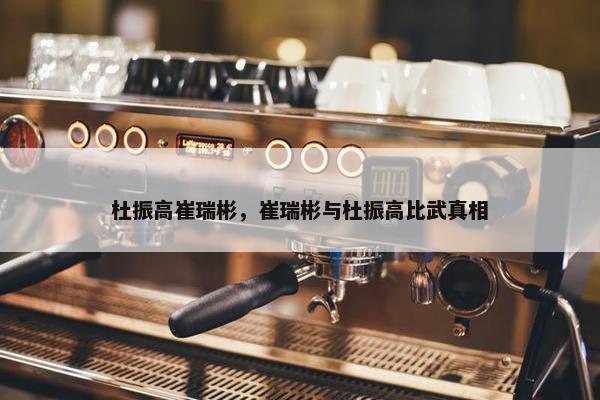 杜振高崔瑞彬，崔瑞彬与杜振高比武真相