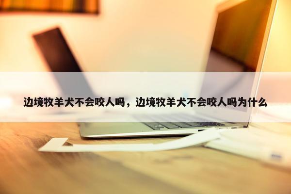 边境牧羊犬不会咬人吗，边境牧羊犬不会咬人吗为什么