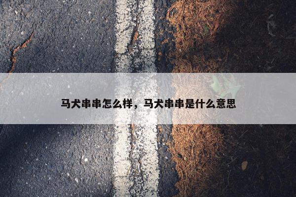 马犬串串怎么样，马犬串串是什么意思