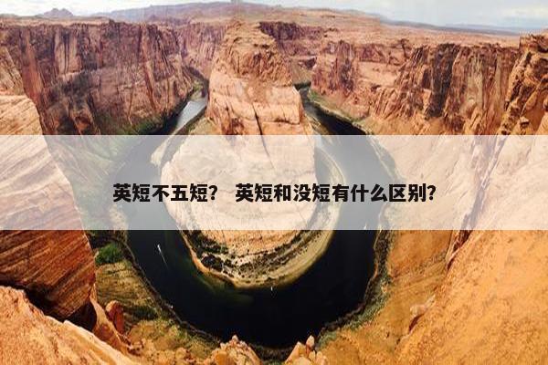 英短不五短？ 英短和没短有什么区别？