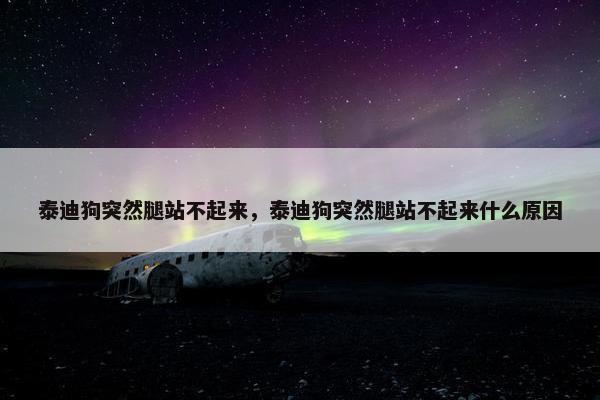泰迪狗突然腿站不起来，泰迪狗突然腿站不起来什么原因