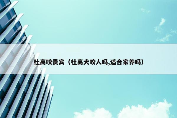 杜高咬贵宾（杜高犬咬人吗,适合家养吗）