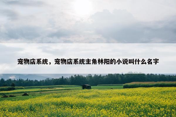 宠物店系统，宠物店系统主角林阳的小说叫什么名字