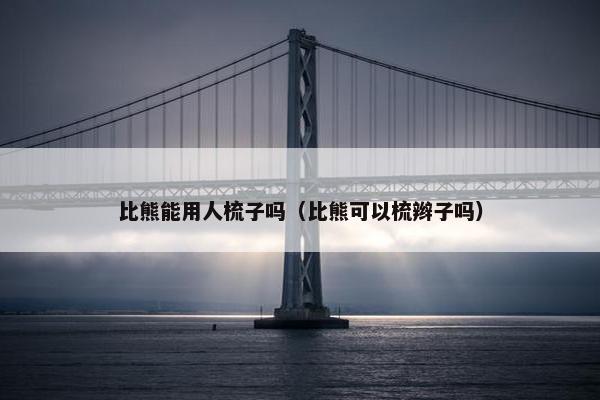 比熊能用人梳子吗（比熊可以梳辫子吗）