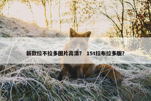 新款拉不拉多图片高清？ 15t拉布拉多版？