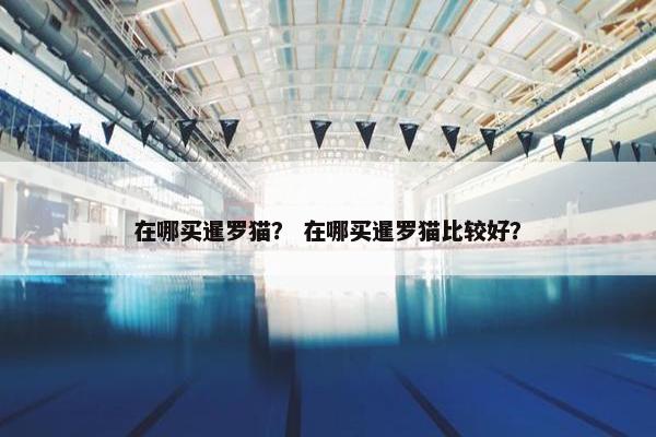 在哪买暹罗猫？ 在哪买暹罗猫比较好？