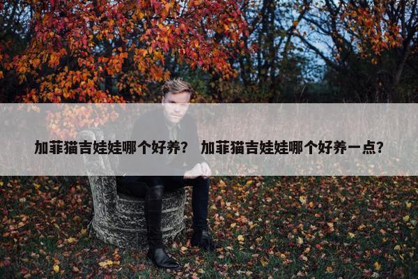 加菲猫吉娃娃哪个好养？ 加菲猫吉娃娃哪个好养一点？