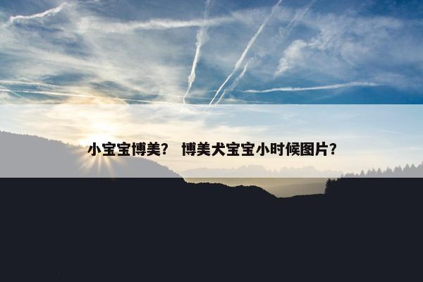 小宝宝博美？ 博美犬宝宝小时候图片？