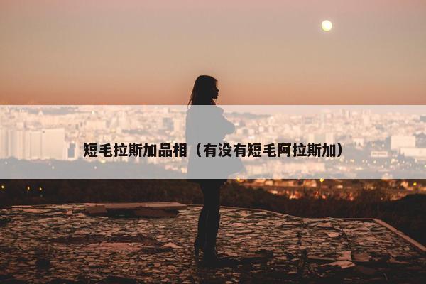 短毛拉斯加品相（有没有短毛阿拉斯加）