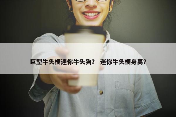 巨型牛头梗迷你牛头狗？ 迷你牛头梗身高？