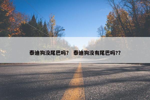 泰迪狗没尾巴吗？ 泰迪狗没有尾巴吗?？