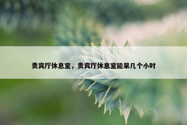 贵宾厅休息室，贵宾厅休息室能呆几个小时