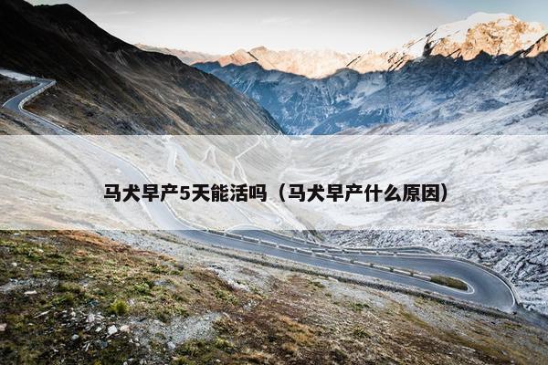 马犬早产5天能活吗（马犬早产什么原因）