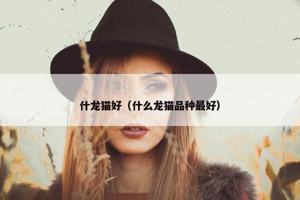 什龙猫好（什么龙猫品种最好）