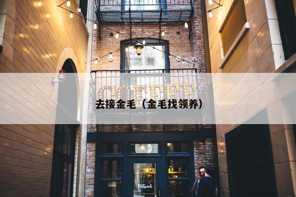 去接金毛（金毛找领养）