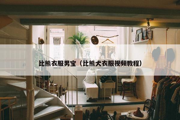比熊衣服男宝（比熊犬衣服视频教程）