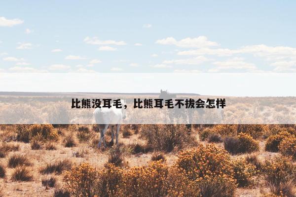 比熊没耳毛，比熊耳毛不拔会怎样