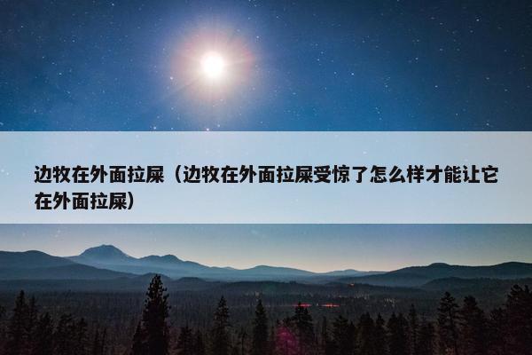 边牧在外面拉屎（边牧在外面拉屎受惊了怎么样才能让它在外面拉屎）