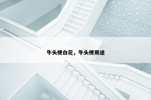 牛头梗白花，牛头梗用途