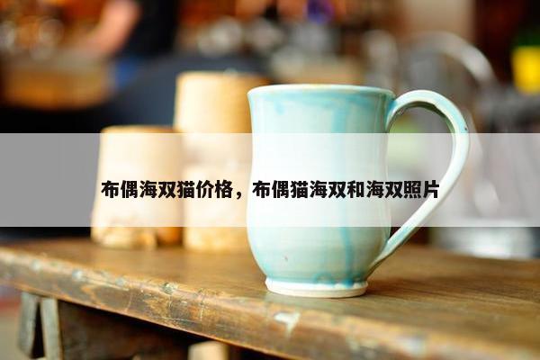 布偶海双猫价格，布偶猫海双和海双照片