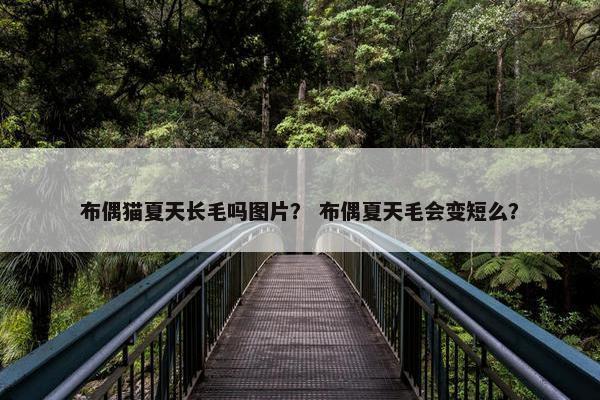 布偶猫夏天长毛吗图片？ 布偶夏天毛会变短么？