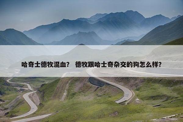 哈奇士德牧混血？ 德牧跟哈士奇杂交的狗怎么样？