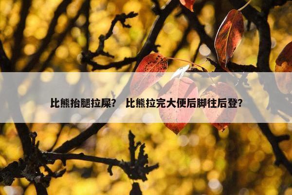 比熊抬腿拉屎？ 比熊拉完大便后脚往后登？