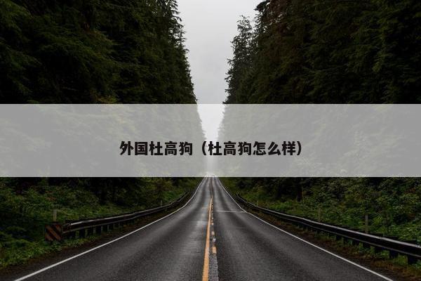 外国杜高狗（杜高狗怎么样）