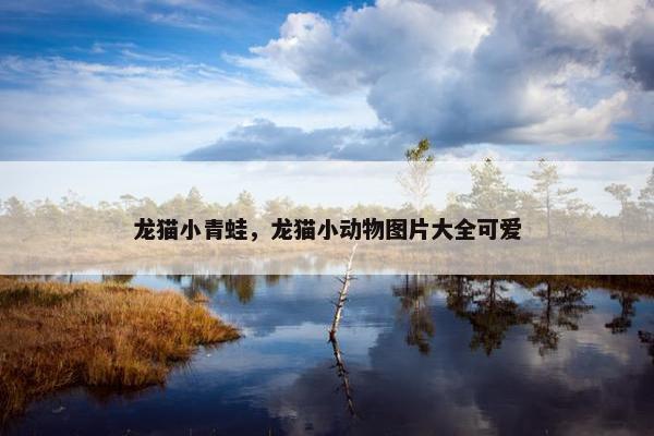 龙猫小青蛙，龙猫小动物图片大全可爱