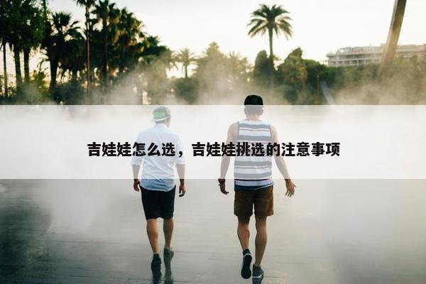 吉娃娃怎么选，吉娃娃挑选的注意事项