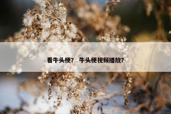 看牛头梗？ 牛头梗视频播放？