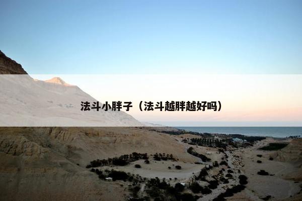 法斗小胖子（法斗越胖越好吗）
