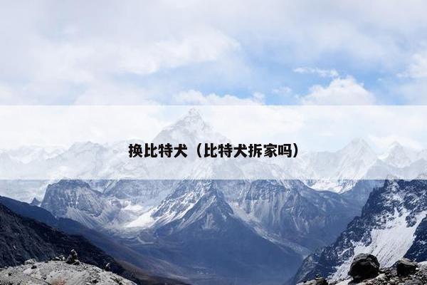 换比特犬（比特犬拆家吗）