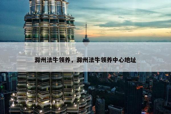 滁州法牛领养，滁州法牛领养中心地址
