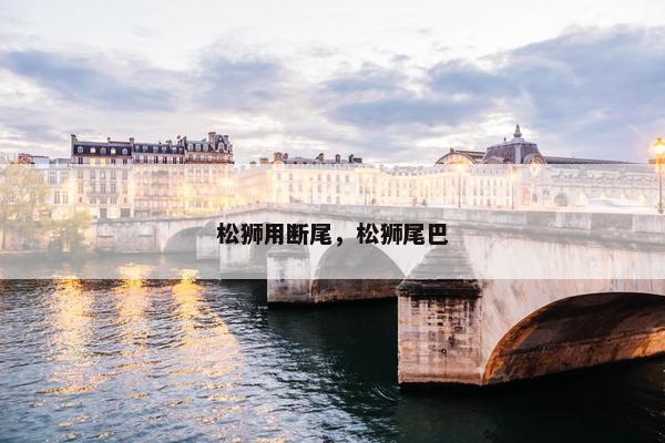 松狮用断尾，松狮尾巴