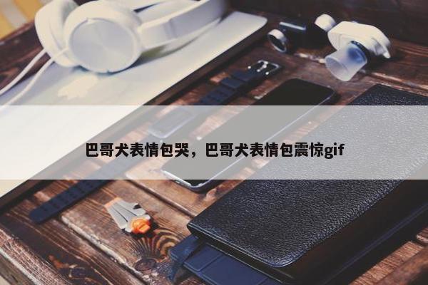 巴哥犬表情包哭，巴哥犬表情包震惊gif