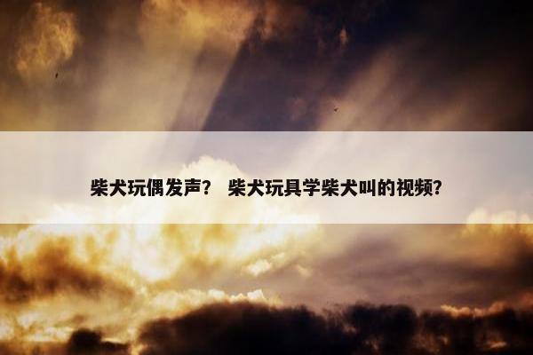 柴犬玩偶发声？ 柴犬玩具学柴犬叫的视频？