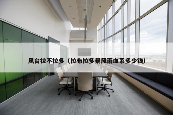 风台拉不拉多（拉布拉多暴风雨血系多少钱）