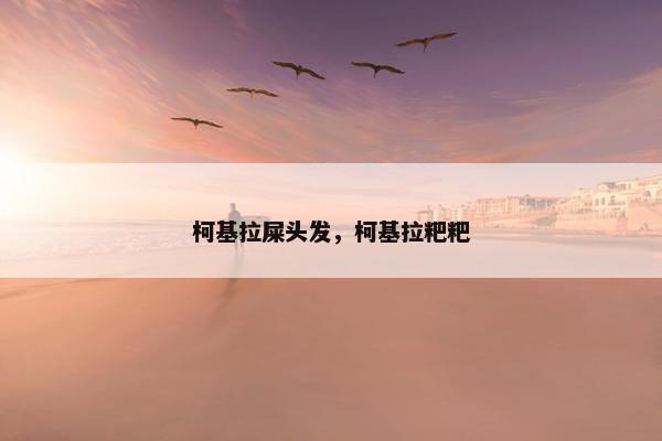 柯基拉屎头发，柯基拉粑粑
