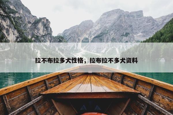 拉不布拉多犬性格，拉布拉不多犬资料