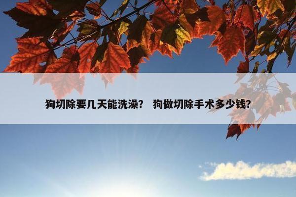 狗切除要几天能洗澡？ 狗做切除手术多少钱？