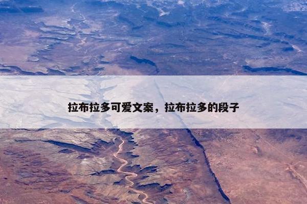 拉布拉多可爱文案，拉布拉多的段子