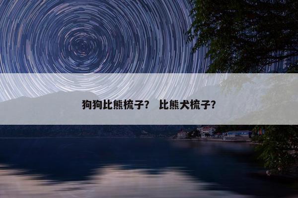 狗狗比熊梳子？ 比熊犬梳子？